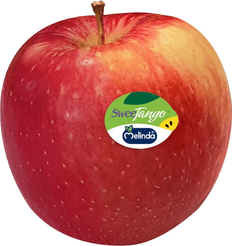 Sweetango alma, lédig