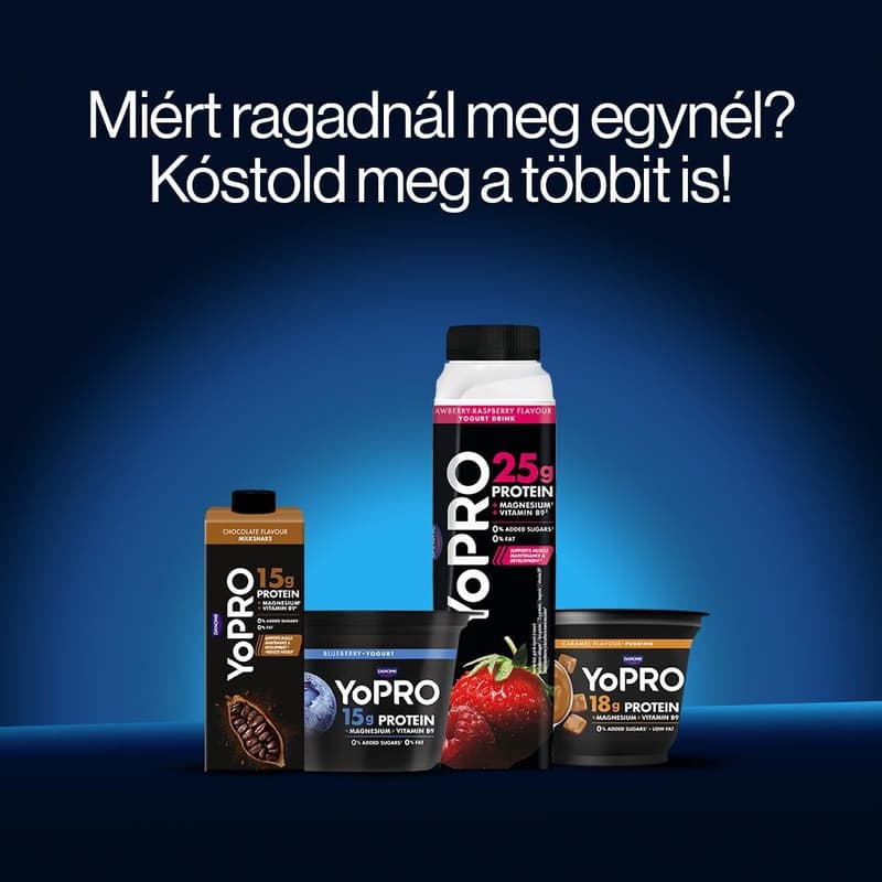 YoPRO Blueberry Milk Product