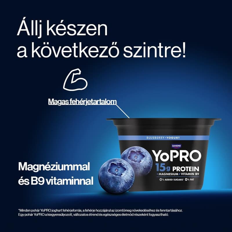 YoPRO Blueberry Milk Product