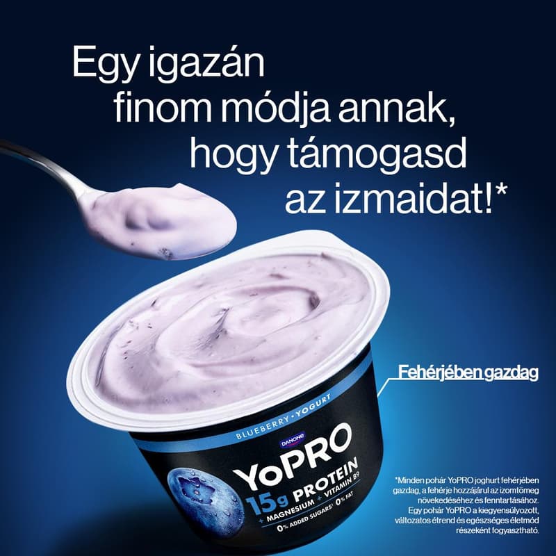 YoPRO Blueberry Milk Product