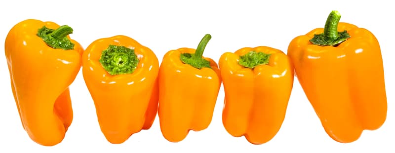 Tatayoyo prémium paprika