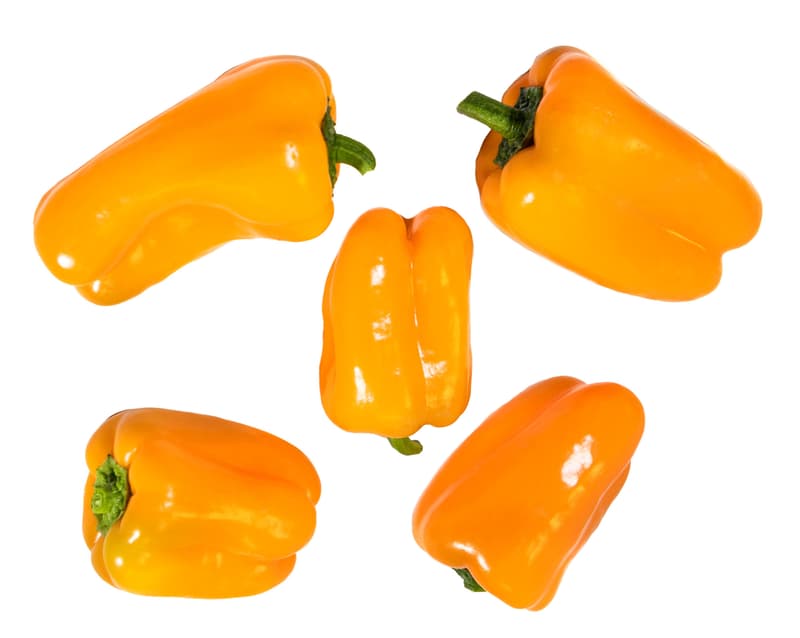 Tatayoyo prémium paprika
