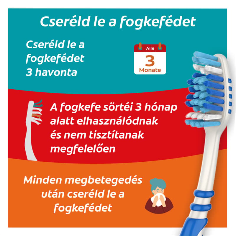 Colgate toothbrush Zigzag Medium duo