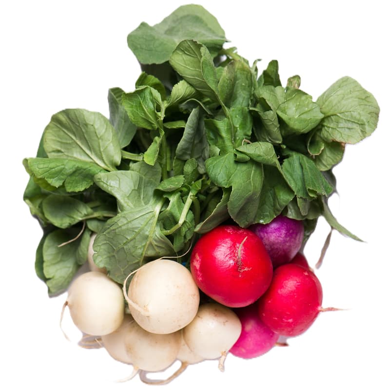 Trikolor csomós retek mix