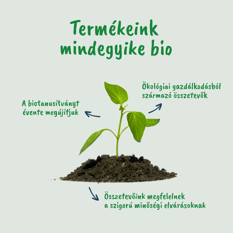 Gerber kókusztej alapú mangó-kiwi ízű bio babadesszert