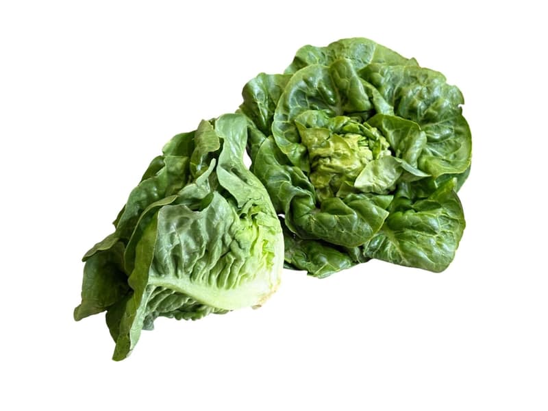 Local grower's baby gem (3 pcs)
