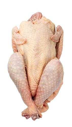 BIO chicken grill body