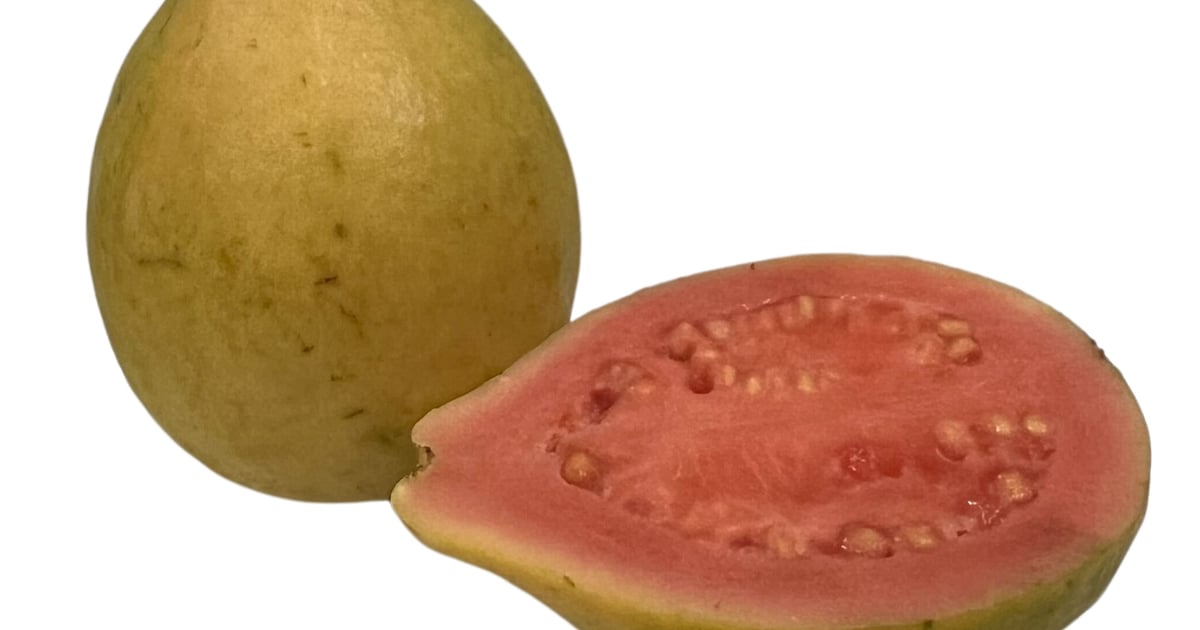 Guava Razpado Guava, rózsaszín