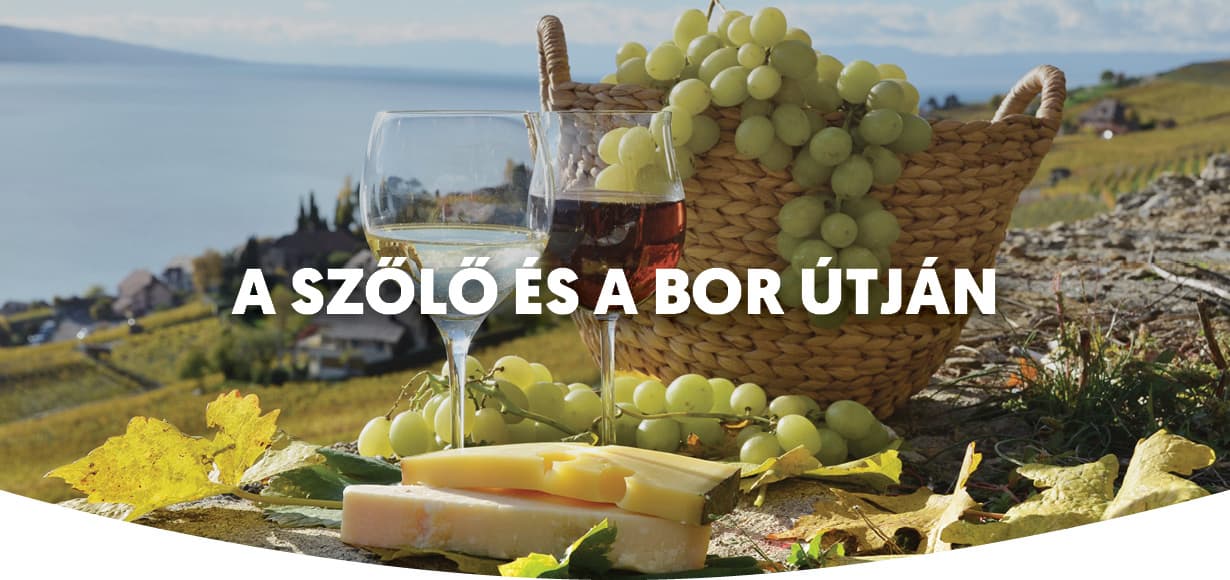 Szüretelés 2021