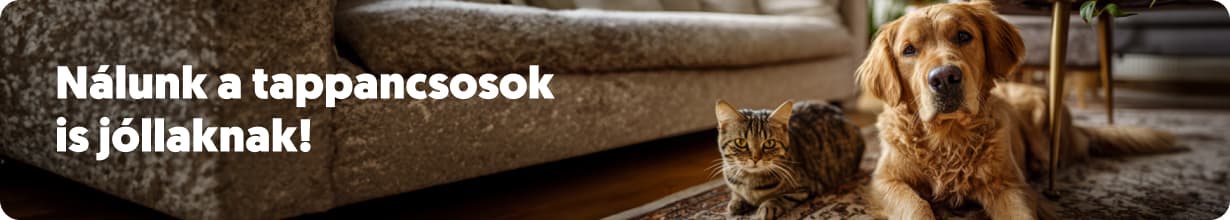 Állatok világnapja