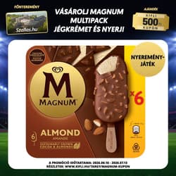 MAGNUM Multipack Ice Cream Almond 6x100ml