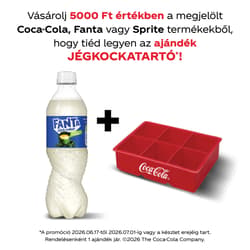 Fanta zéró cukor citrom- és bodzaízű energiamentes szénsavas üdítőital édesítőszerekkel