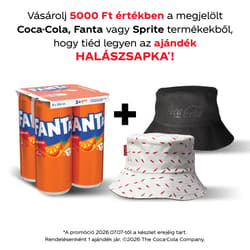 Fanta szénsavas narancsízű üdítőital (4 x 330 ml)