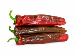 BIO Red pointed peppers, packed