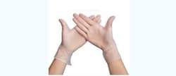 easyCare powder-free vinyl examination gloves L