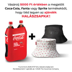 Coca-Cola colaízű szénsavas üdítőital multipack (2x1,75l)