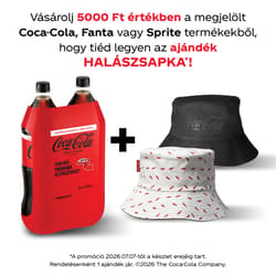 Coca-Cola Zero colaízű energiamentes szénsavas üdítőital multipack (2x1,75l)
