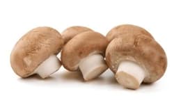 BIO Barna Csiperkegomba