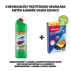 Domestos Extended Power Pine Fresh thick disinfectant cleaner 1250 ml