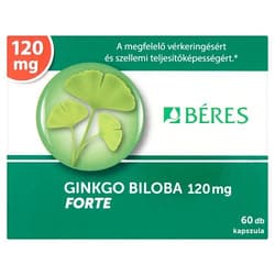 Berries Ginkgo Biloba 120 mg Forte capsules 60x