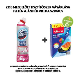 Domestos Power Fresh toilet cleaning gel 700ml - Floral Fresh