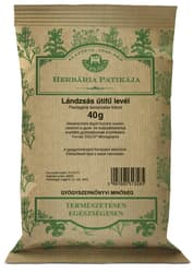 Herbária Patikája Lándzsás útifű levél (Plantaginis lanceolatae folium)