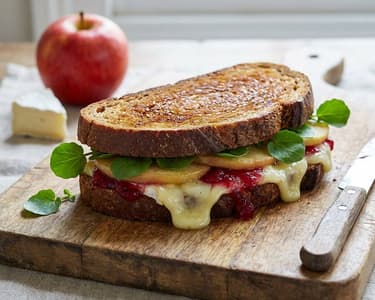 Baked Brie Cheese Sandwich with Apple and Cranberry