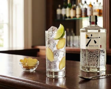 Roku & Tonic Cocktail with Ginger