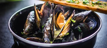 Búzasörös kék kagyló fűszeres bagettel