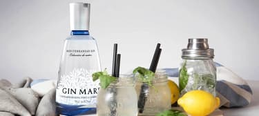 Gin Tonic - Gin Mare