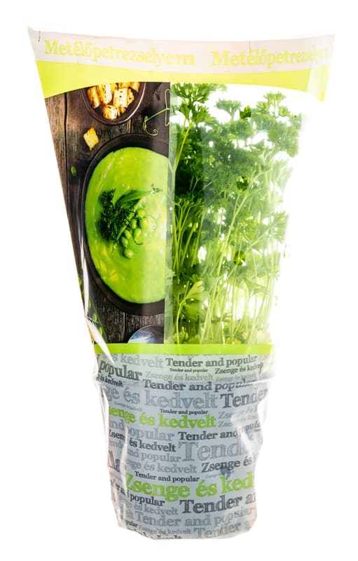 Chicken parsley in pots