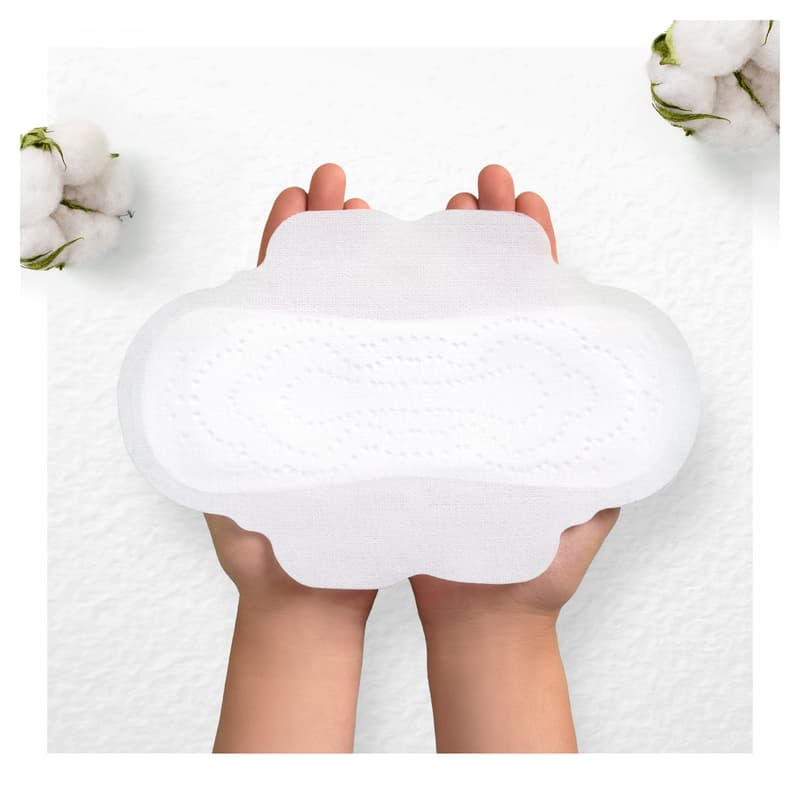 Always Cot Pro Pads Regular Wing  11CT