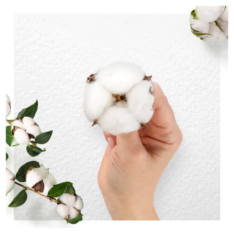 Always Cot Pro Pads Night Wing  8CT