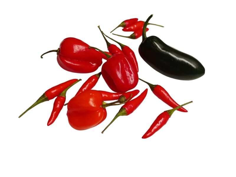 Titbit Egzotikus chili variáció, csomagolt