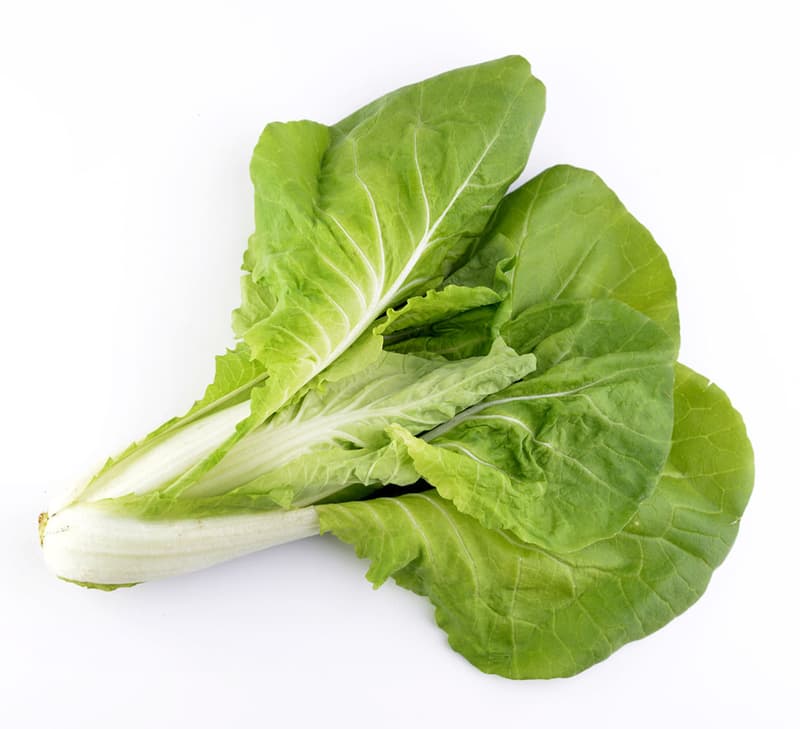 Pak choi 2pcs
