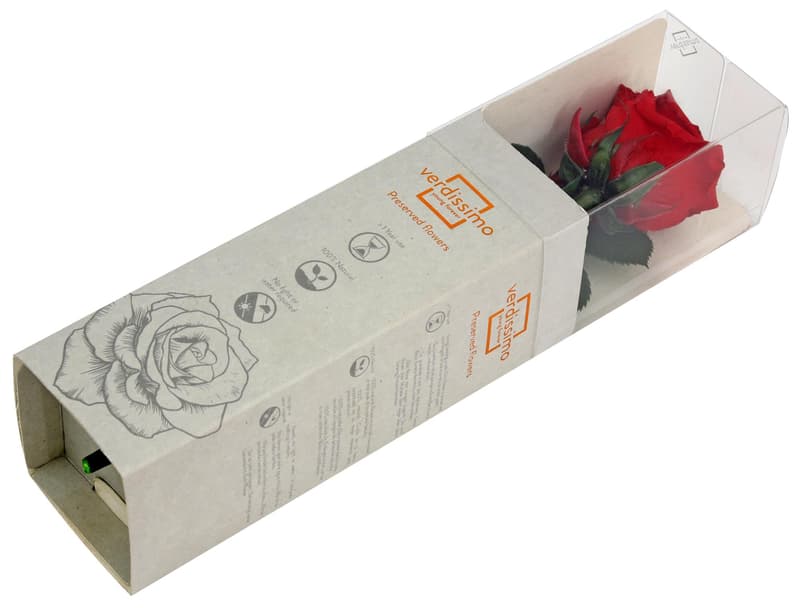 Szálas örökrózsa dobozban 25 cm - PIROS / VÖRÖS