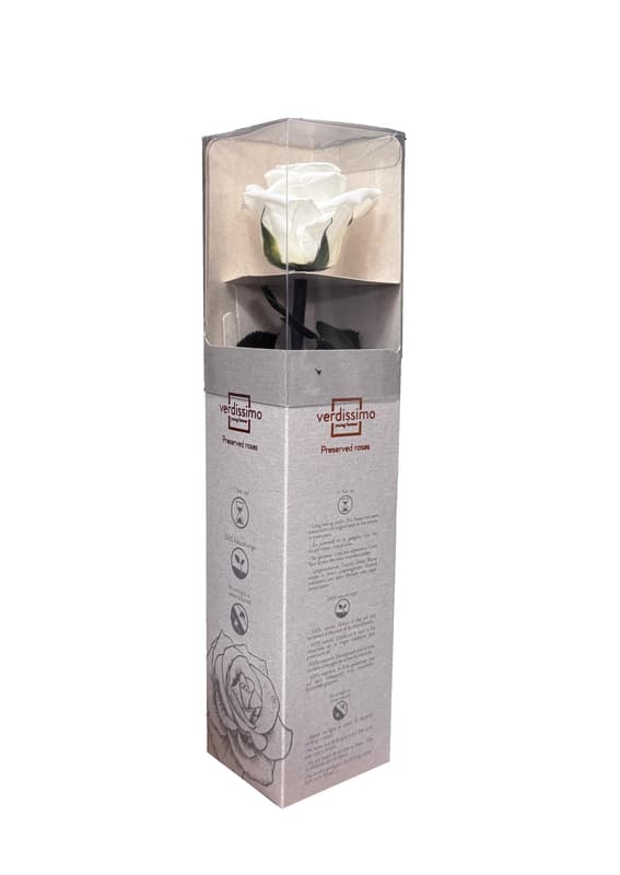 Szálas örökrózsa dobozban 25 cm - FEHÉR