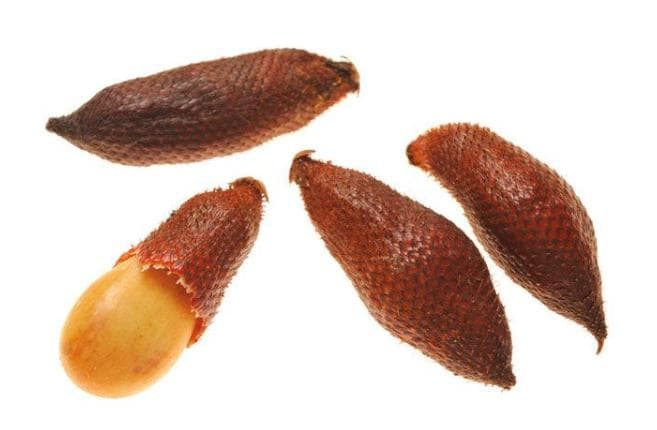 Titbit Salak (Snake fruit)