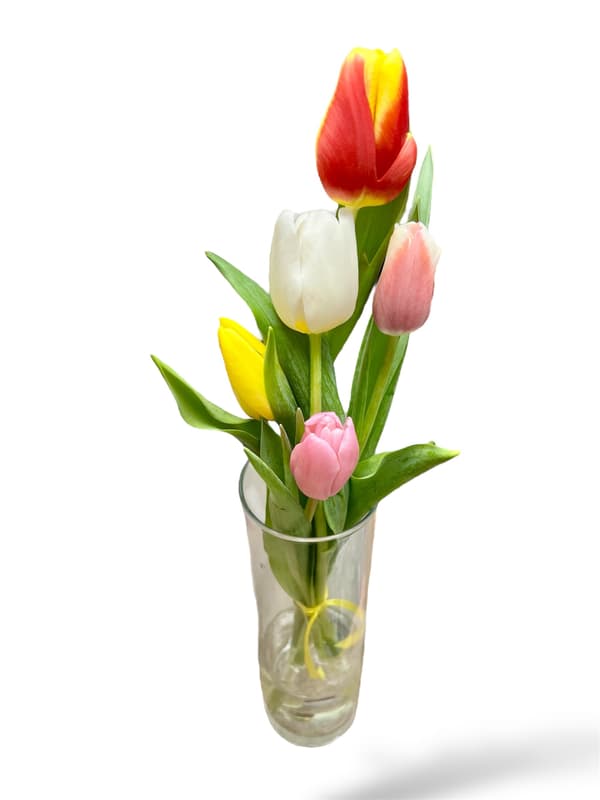 Tulip bouquet