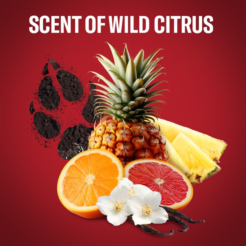 Old Spice Wolfthorn 3 az 1-ben Tusfürdő és Sampon
