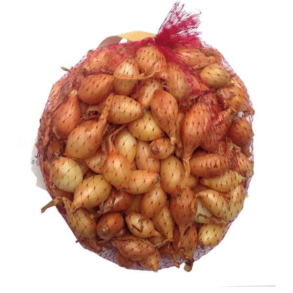Yellow onion bulb