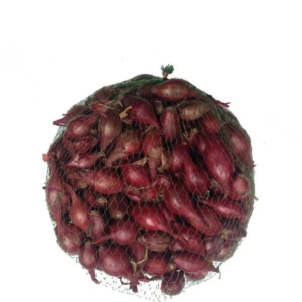 Red onion bulb