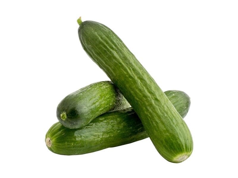 Mini snack cucumber