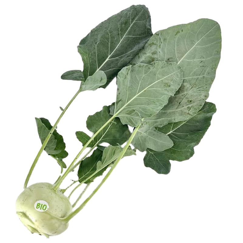 Bio turnip cabbage (1 pc)
