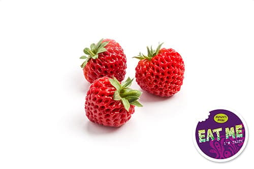 Eat Me Strassberry, packed