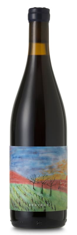 Turay Pincészet Cabernet Sauvignon Synergy