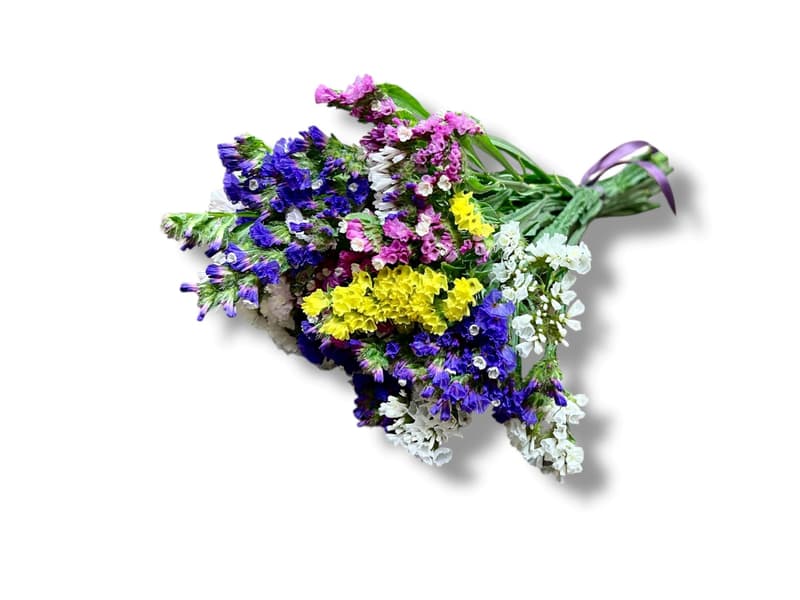Nusy Flower Sóvirág mono csokor, vegyes színekben