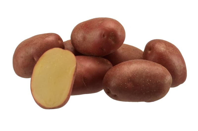 Hazai Evolution B típusú piroshéjú újburgonya, Kónya Sándor termelőtől, csomagolt