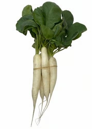 Mini pointed white radish, bunch