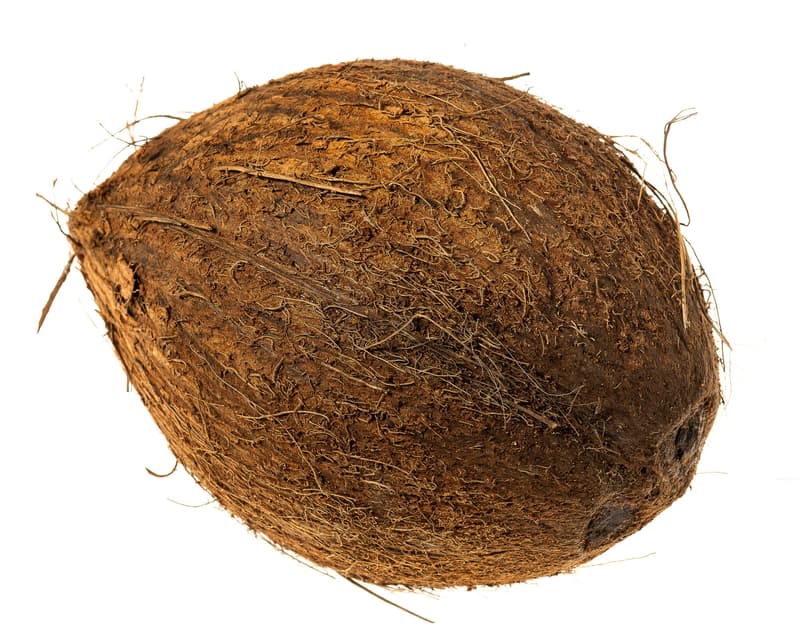 Titibit Coconut (1 pc)
